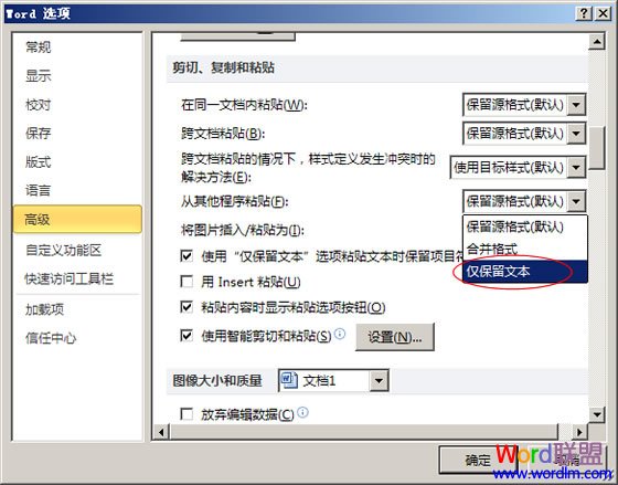 设置仅保留文本